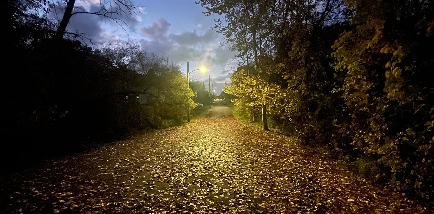 A dark road with leaves